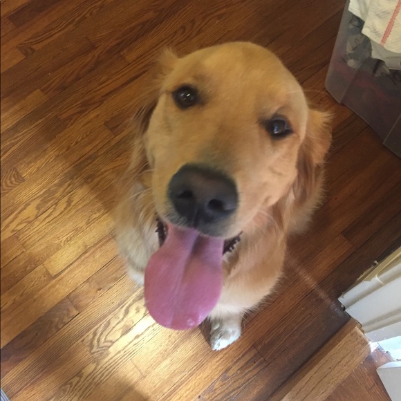 Meet your Posher, Kate - Picture 1 of 1